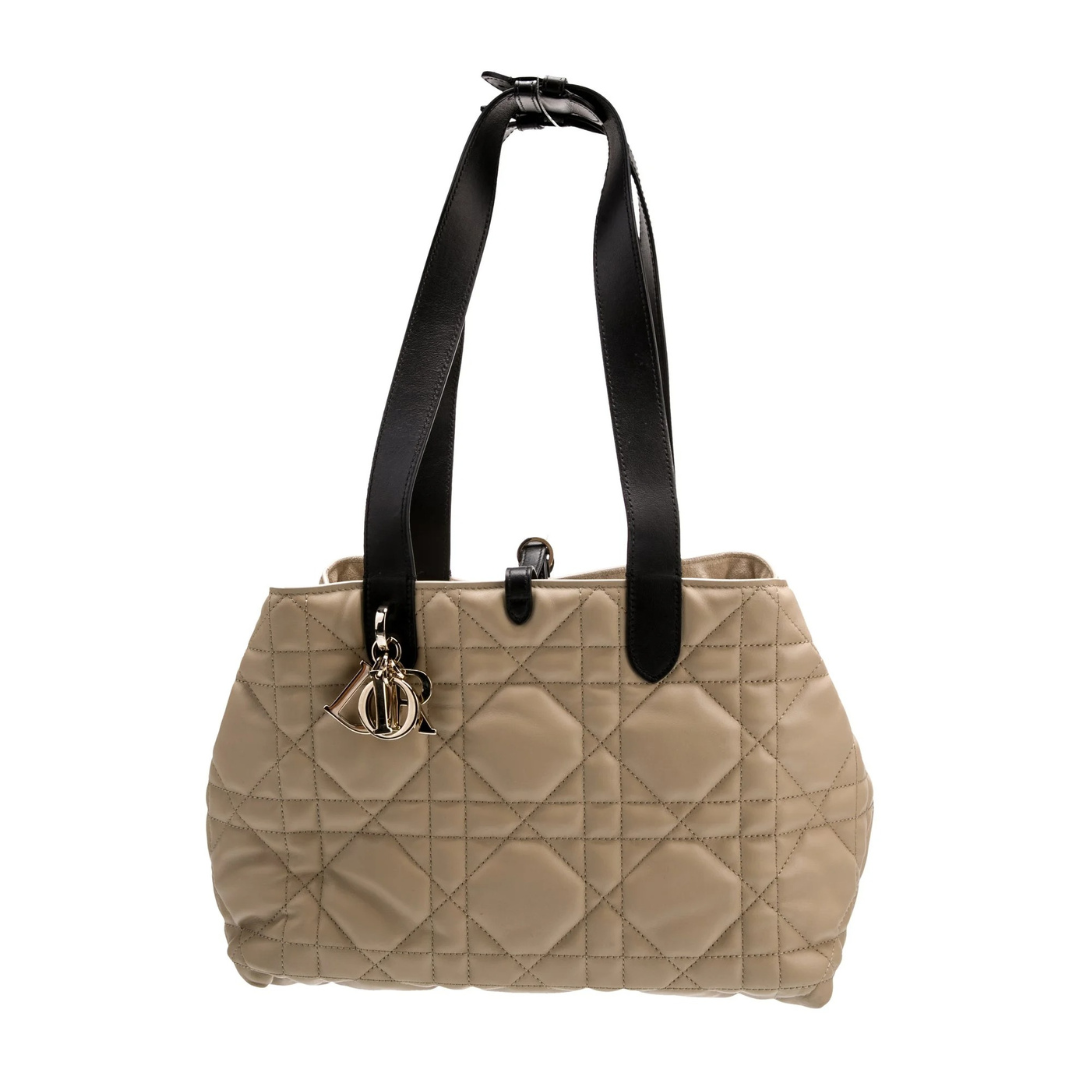 DIOR ALWAYS SMALL BAG