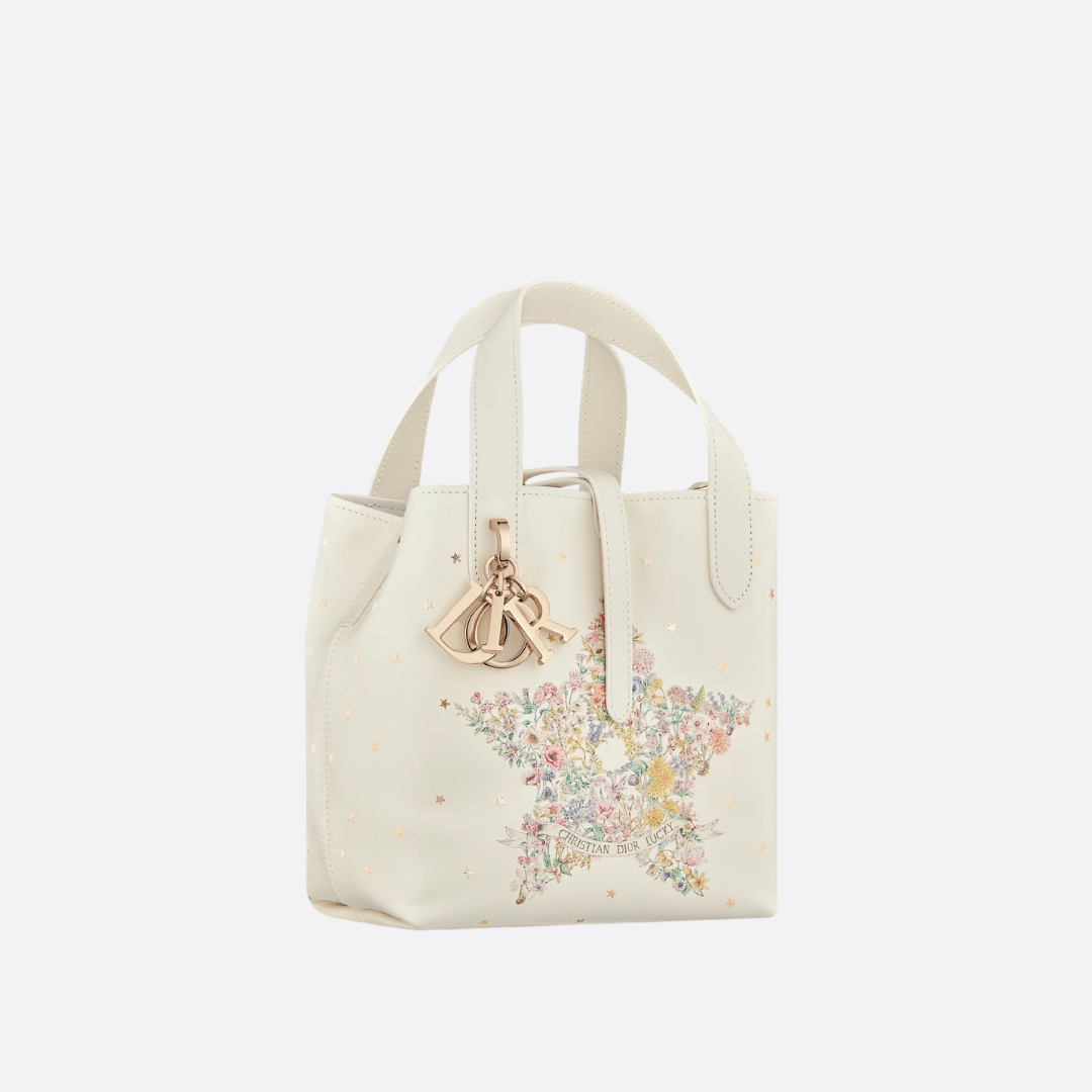 DIOR LUCKY DIOR TOUJOURS SMALL VERTICAL TOTE BAG