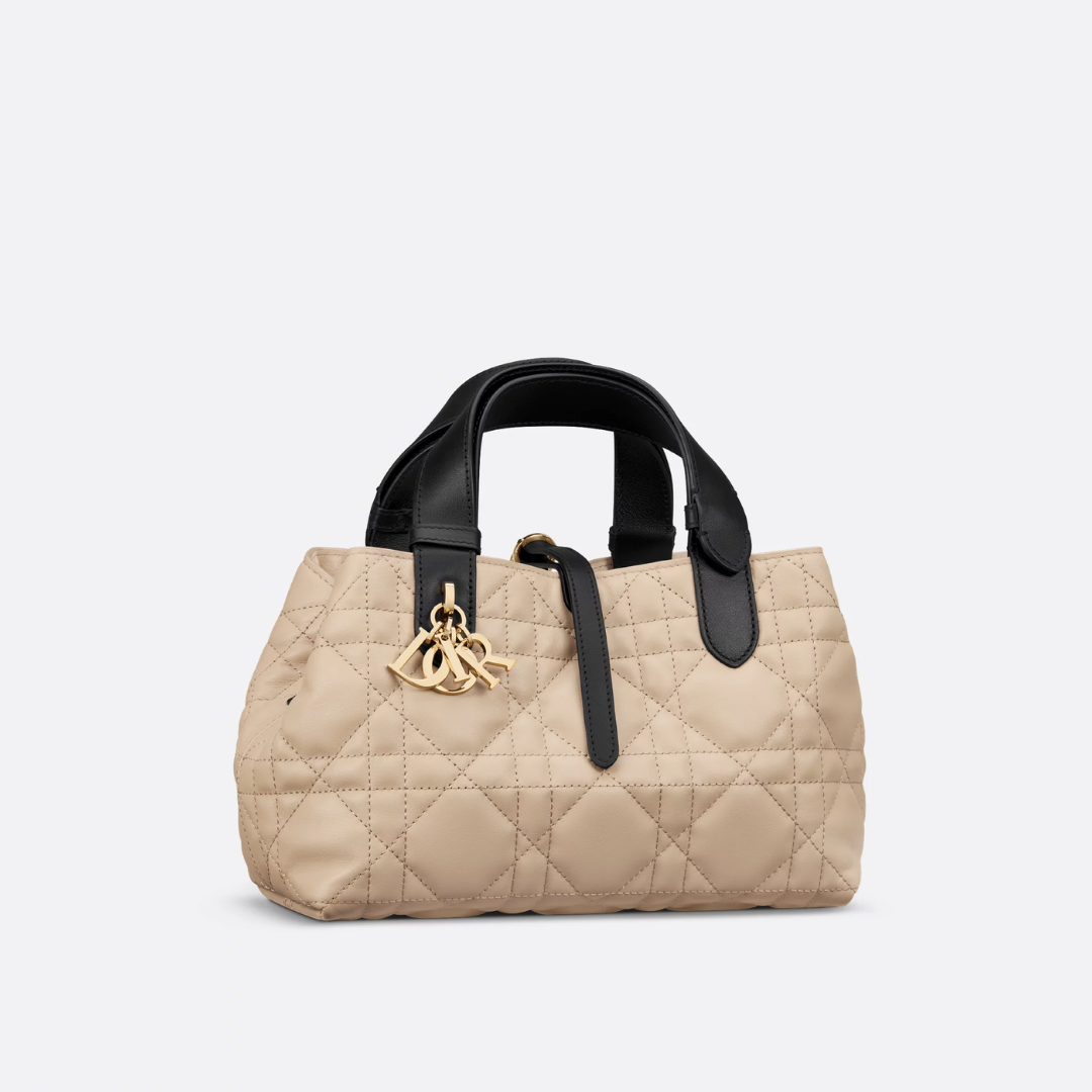 DIOR ALWAYS SMALL BAG