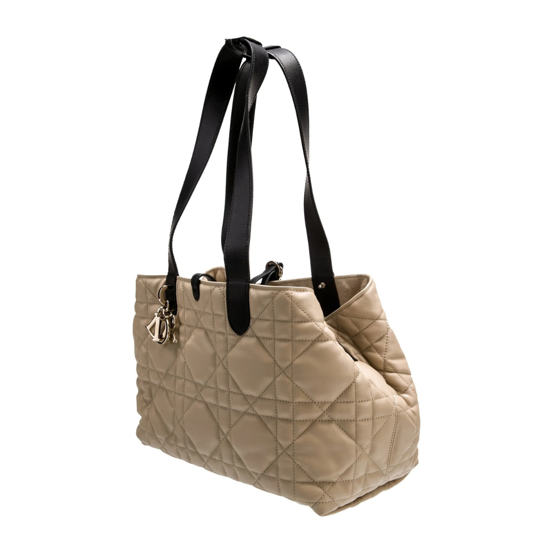 DIOR ALWAYS SMALL BAG