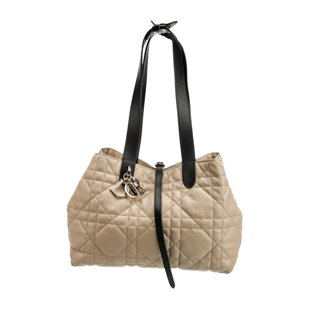 DIOR ALWAYS SMALL BAG