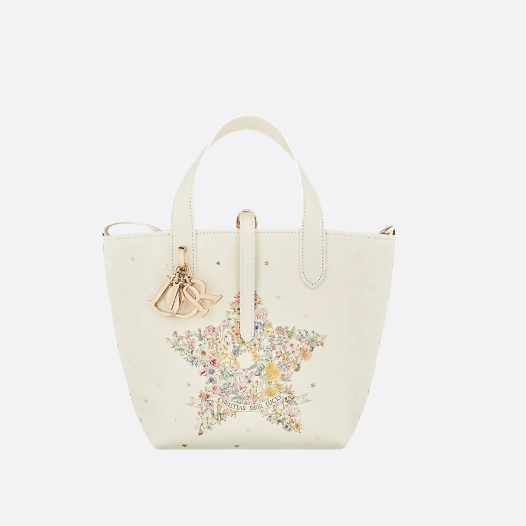 DIOR LUCKY DIOR TOUJOURS SMALL VERTICAL TOTE BAG